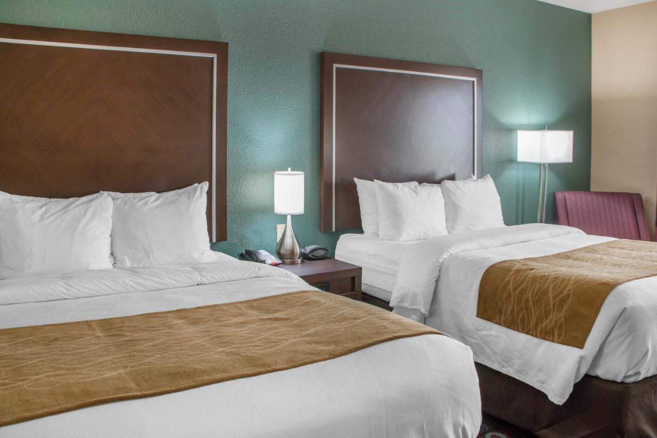 Comfort Inn & Suites Сан Маркос Экстерьер фото